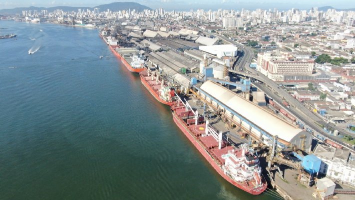 Desestatização do Porto de Santos é aprovada no conselho do PPI